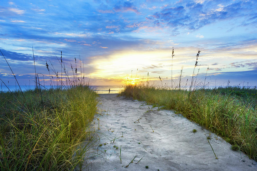 Early Morning Beach Walk Photograph by Debra and Dave Vanderlaan