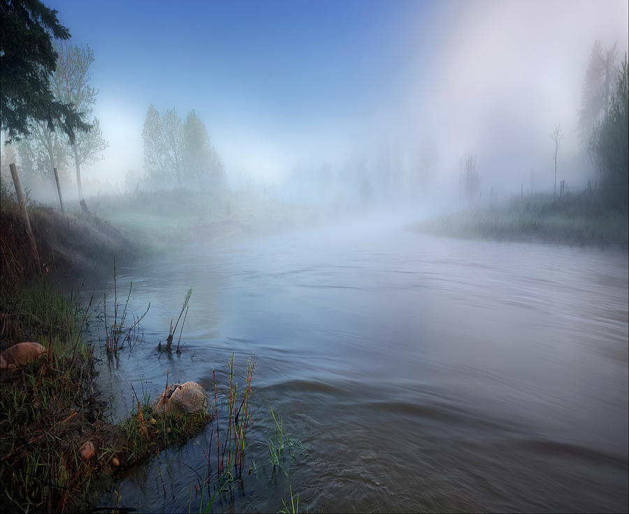 Early Morning by the Creek Photograph by Dan Jurak