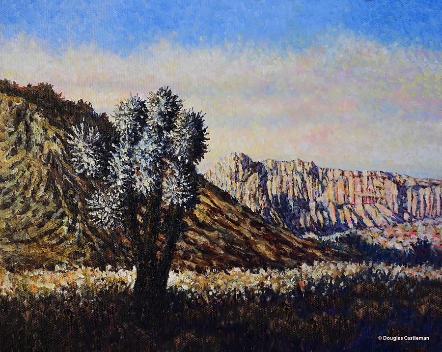 Early Morning Desert Painting by Douglas Castleman