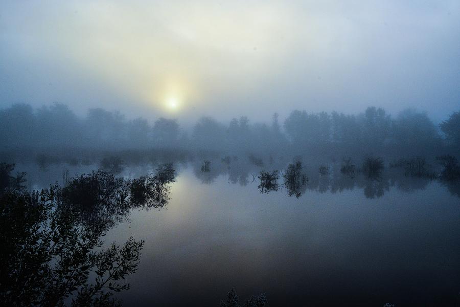 Early Morning Fog Photograph by Addison Likins