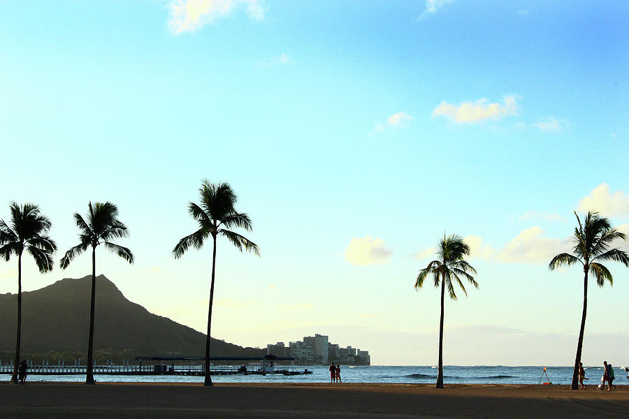 Honolulu Photograph - Early morning hawaii by Kaoru Shimada