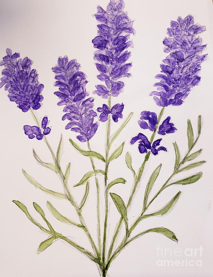 Early Morning Lavender Painting by Margaret Welsh Willowsilk
