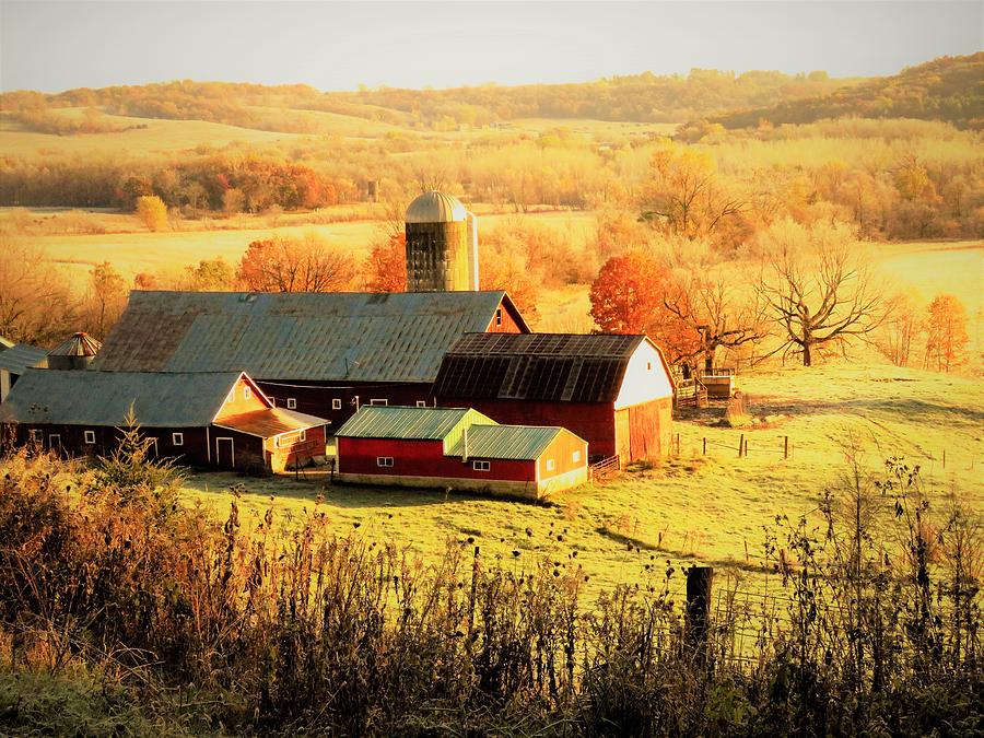 Early Morning Light on the Farm  Photograph by Lori Frisch