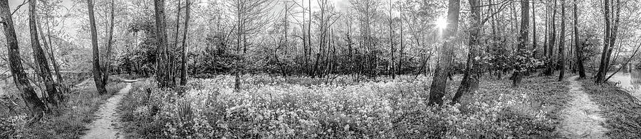 Early Morning Meeting Black and White Panorama Photograph by Debra and Dave Vanderlaan