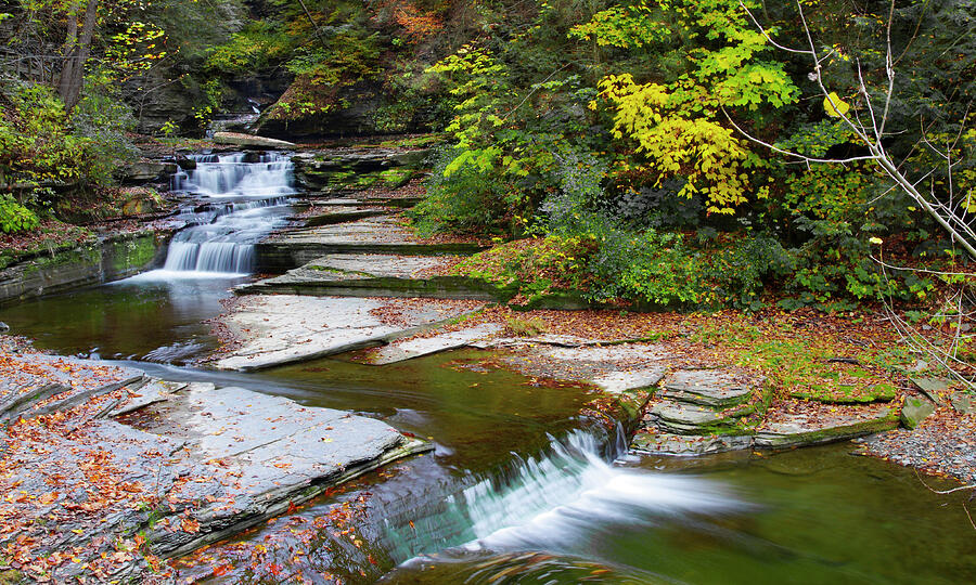 Flowing Stream In The Finger Lakes - Fine Art Print Photograph by Kenneth Lane Smith