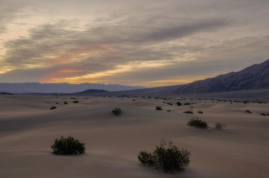 Early Morning Mesquite Dunes Photograph by Jim Cook