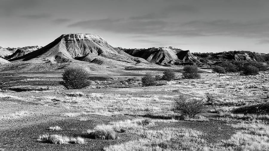 Early Morning - Painted Desert BW Photograph by Lexa Harpell