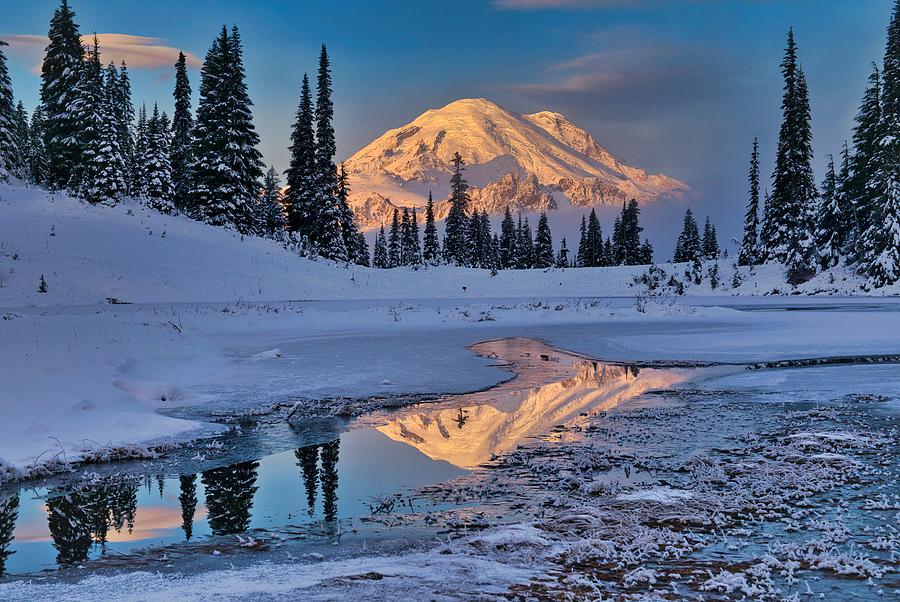 Early morning Mount Rainier reflection Photograph by Lynn Hopwood