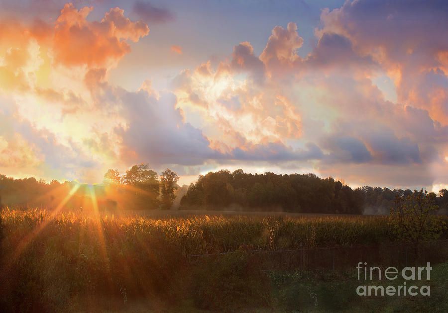 Sunrise Photograph - Early Morning Rays and Mist by Barbara McMahon