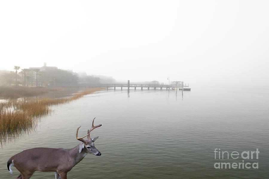 Early Morning Sea Fog Over The Wando River - Charleston Photograph