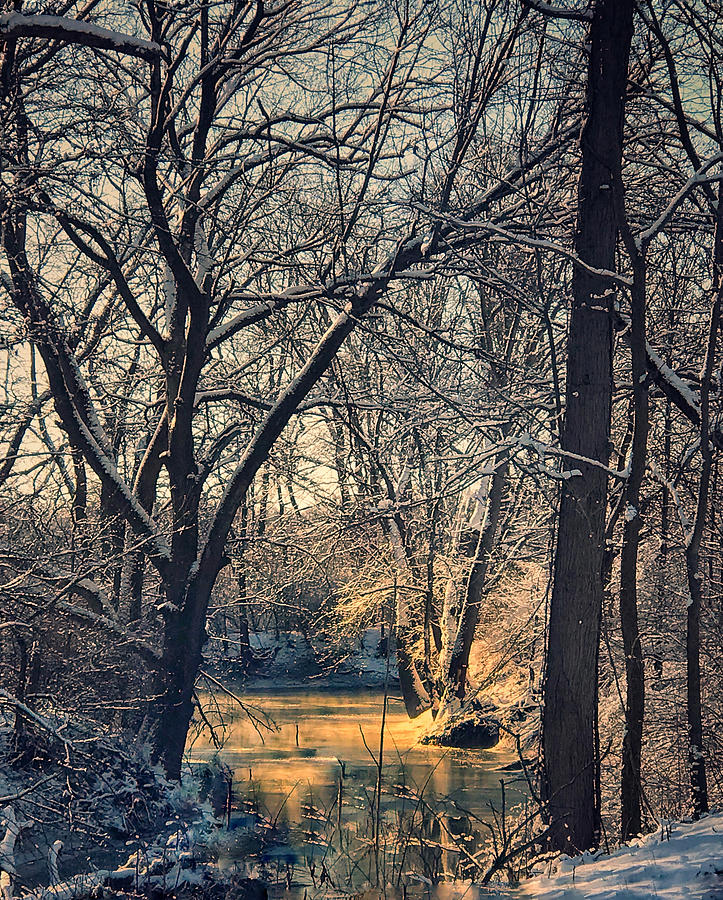 Early Morning Snowy Creek Photograph by Virginia Folkman