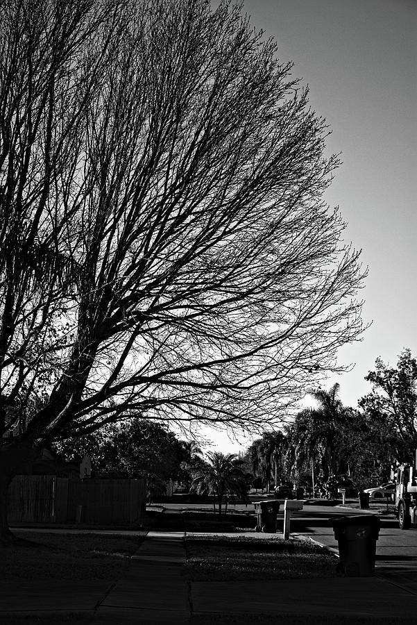 Early Morning Street in Kissimmee Black And White  Photograph by Christopher Mercer