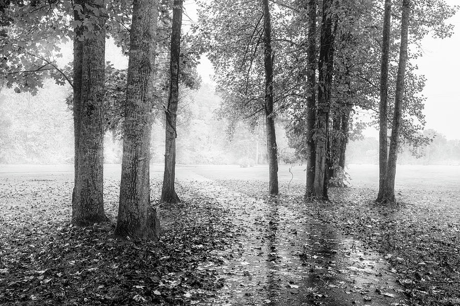 Early Morning Walk Black and White Photograph by Debra and Dave Vanderlaan