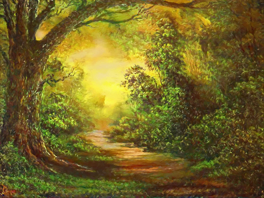 Early Mornting Walk Through The Woods At Sunrise Mixed Media by Sandi OReilly