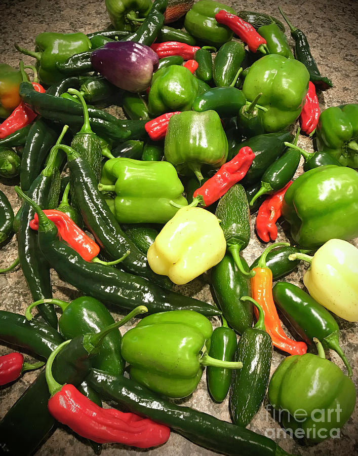 Early October Pepper Harvest. The Victory Garden Collection. Photograph by Amy E Fraser