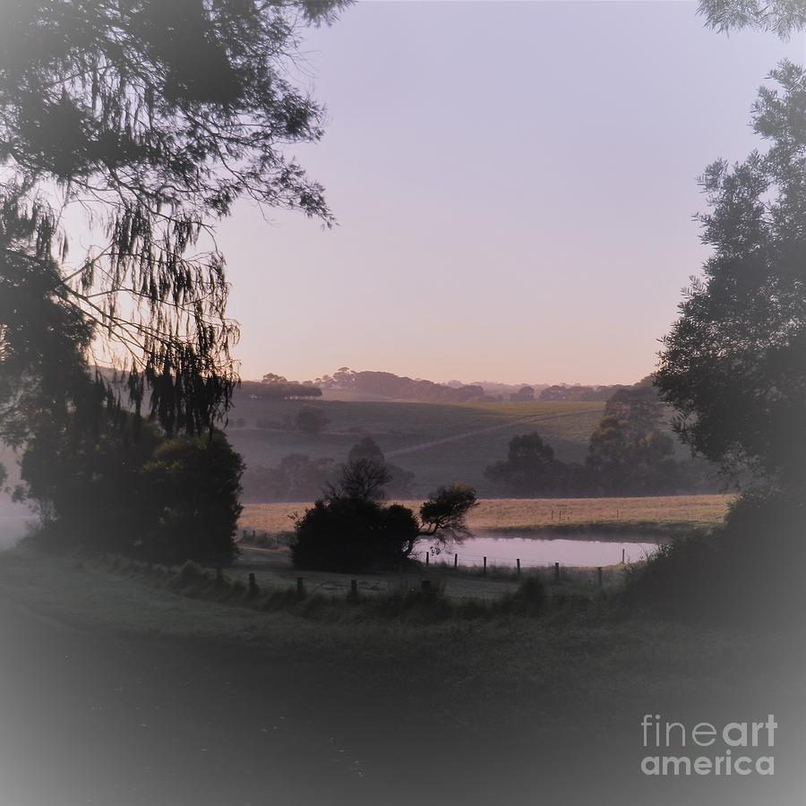 Early Rise Lovely prize Photograph by Julie Grimshaw