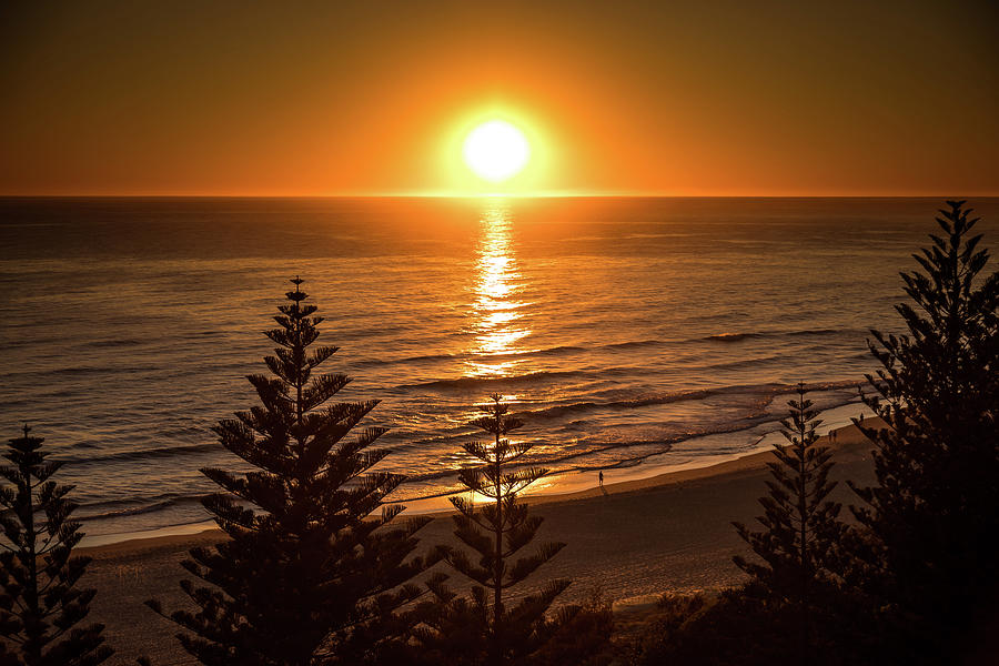 Australian Beaches Photograph - Early Riser by Az Jackson