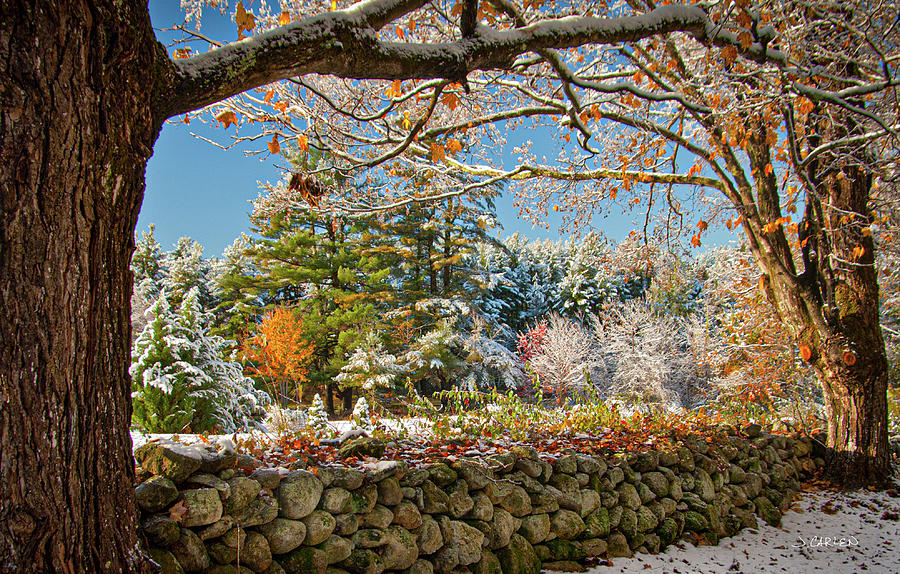 Early Season Snow Photograph by Jim Carlen