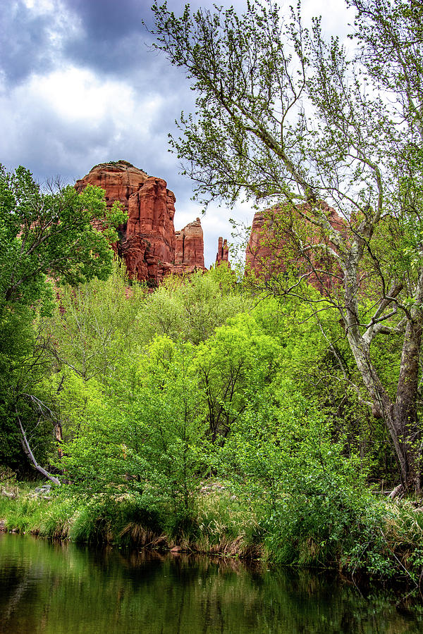 Early Spring at Cathedral Rock, Vertical Photograph by Marcy Wielfaert