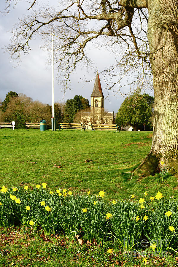 Early spring day on Southborough Common Kent England Photograph by James Brunker