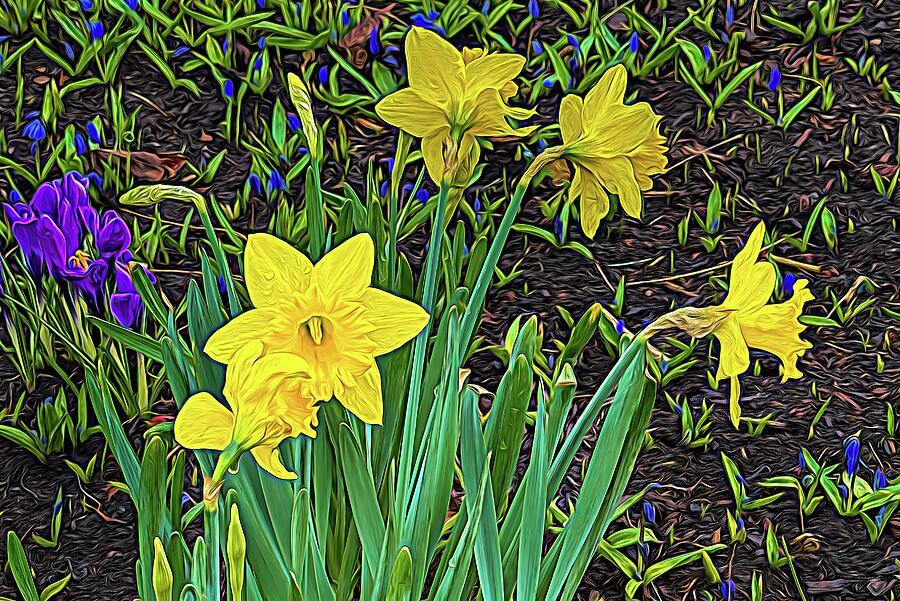 Early Spring Garden Photograph by Kathi Isserman Early Spring Garden Photograph by Kathi Isserman