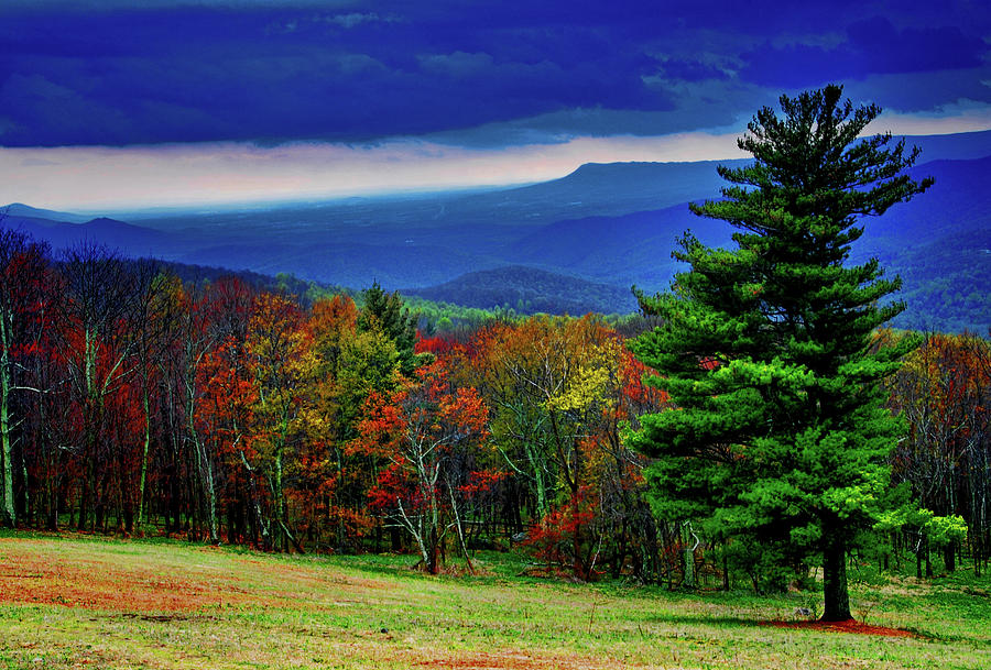 Early spring in the Blue Ridge Photograph by Bill Jonscher