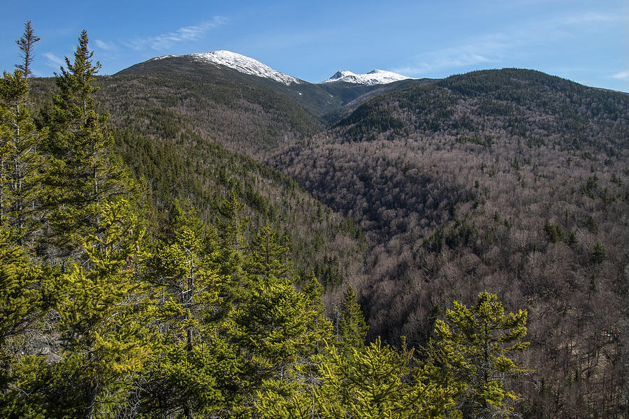 Early Spring Inlook View Photograph by White Mountain Images