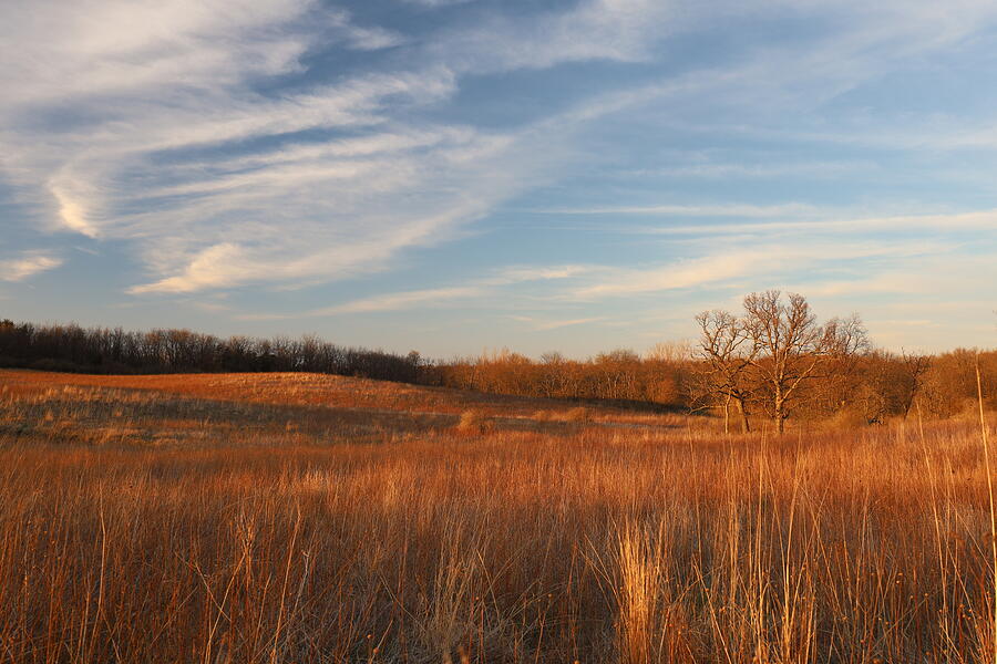Early Spring Prairie Photograph by Dylan Punke Early Spring Prairie Photograph by Dylan Punke