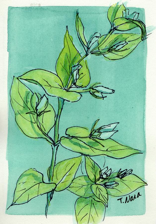 Early Spring Drawing by Tammy Nara