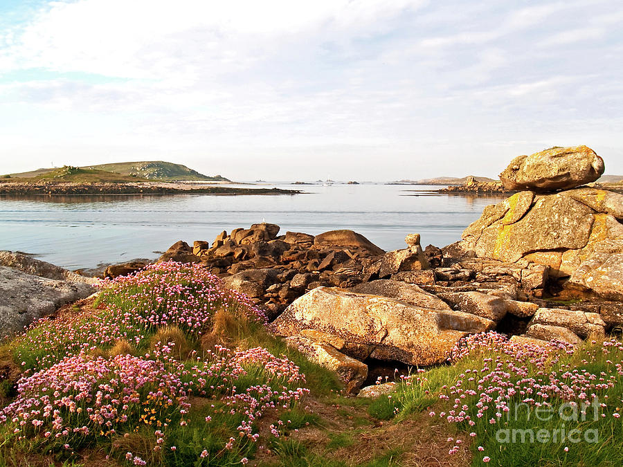 Early Summer In The Scillies Photograph