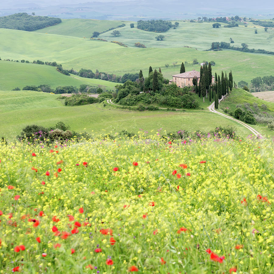 Early Summer in the Val DOrcia, Tuscany, Italy Photograph by Sarah Howard