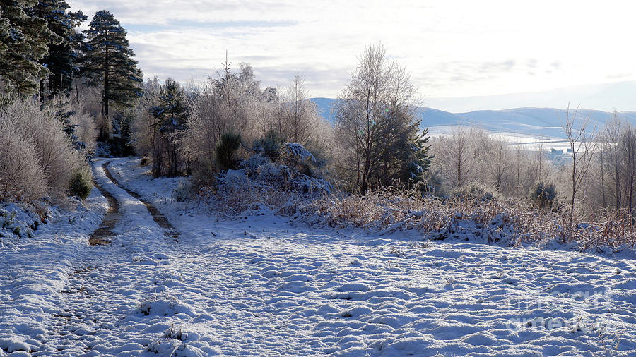 Early Winter Snowfall in Strathspey Photograph by Phil Banks