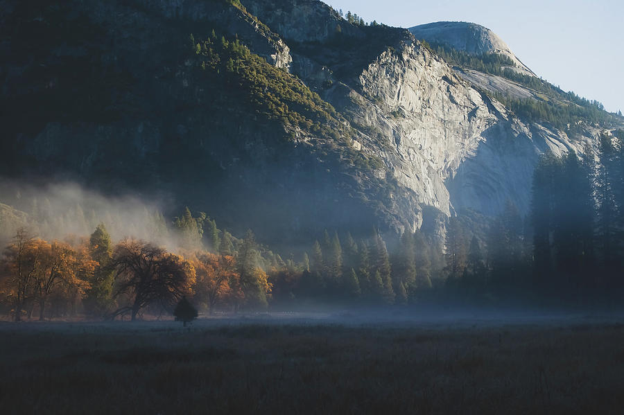 Early Yosemite Morning Photograph by Misty Tienken