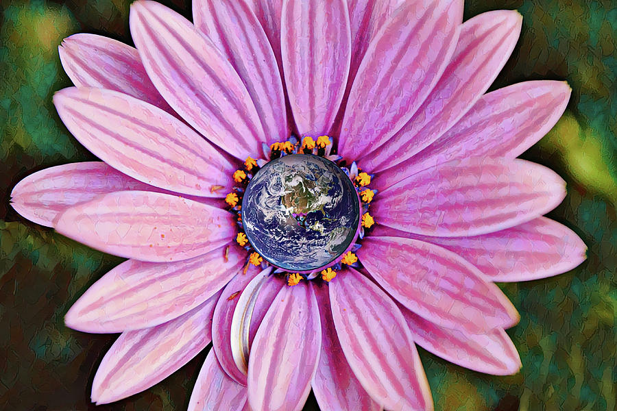 Earth Day Daisy Digital Art by Gaby Ethington