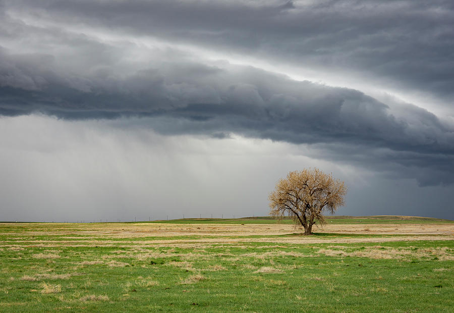 Earth Day Photograph By Michael Ciavatta - Fine Art America