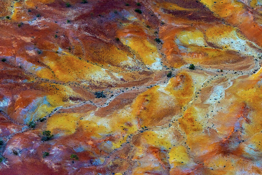Abstract Earth Photograph - Earths Palette by Jennifer Martin