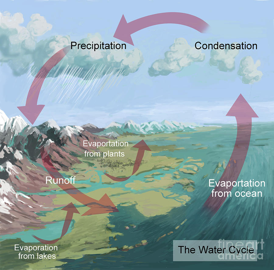 Earths Water Cycle Photograph by Spencer Sutton