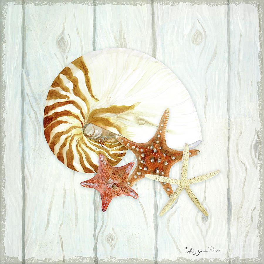 Earthy Beach Sea Shells and Starfish on wood I Watercolor by Audrey Jeanne  Roberts
