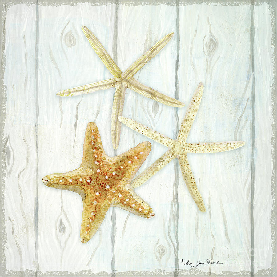 Earthy Beach Sea Shells Starfish on wood II Watercolor  Painting by Audrey Jeanne Roberts