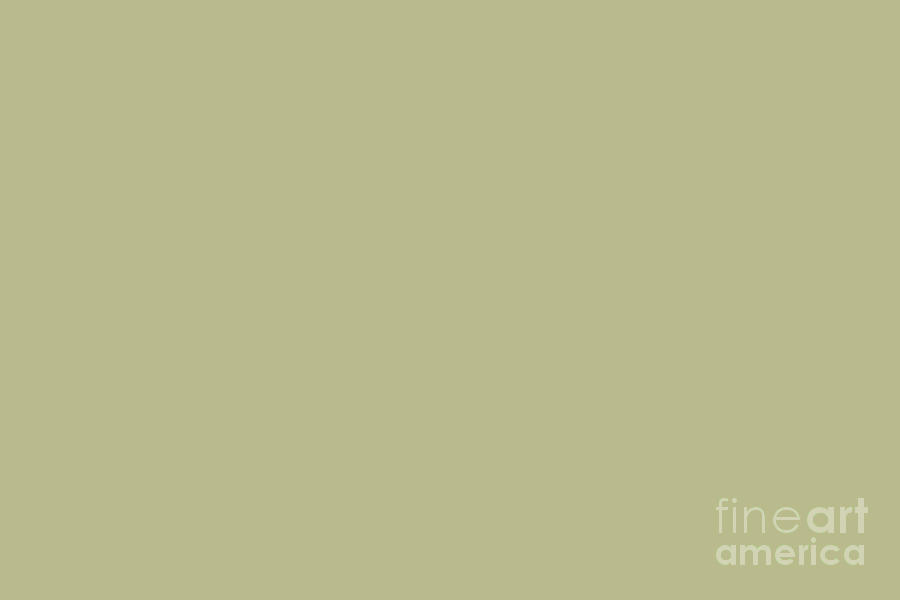Earthy Mid-Tone Pastel Green Solid Color Inspired by Behr Back to Nature 2020 Color of the Year Digital Art by PIPA Fine Art - Simply Solid