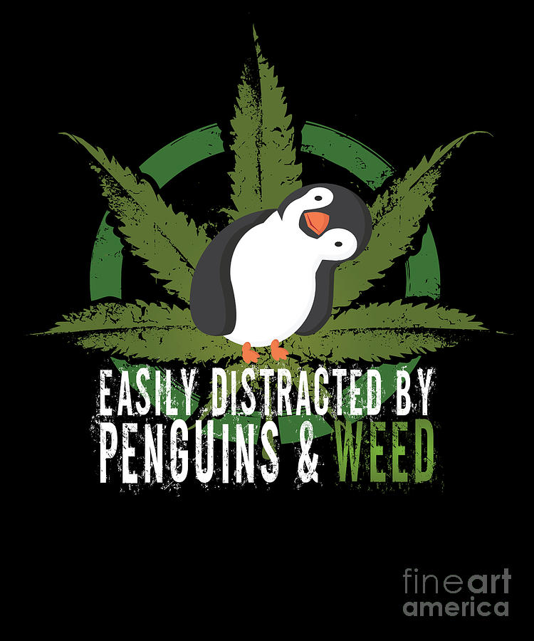 funny weed pictures with animals