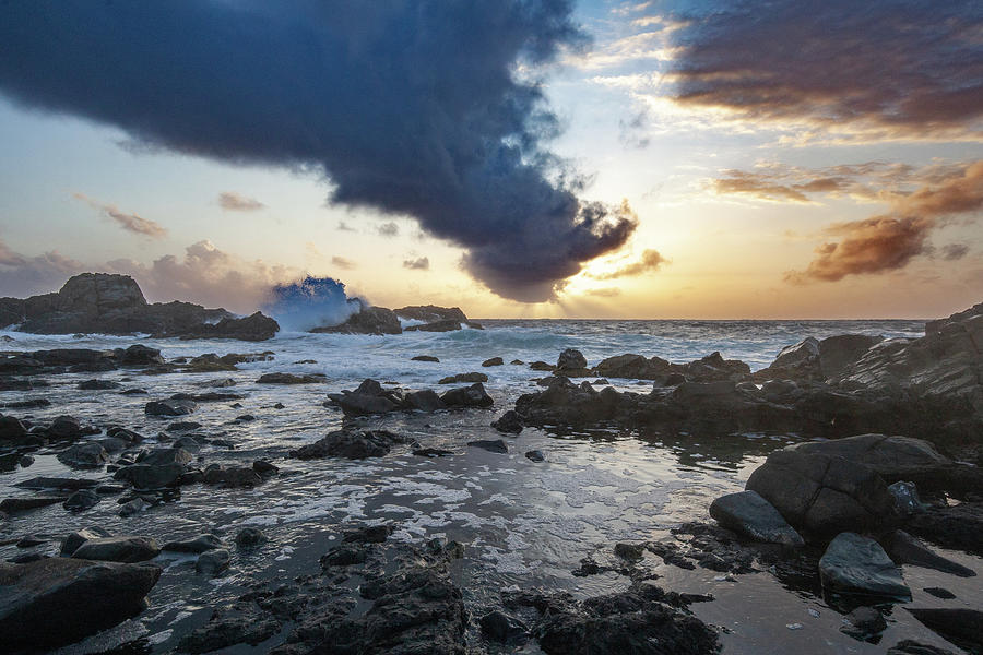East Aruban Coast Photograph by Lon Dittrick