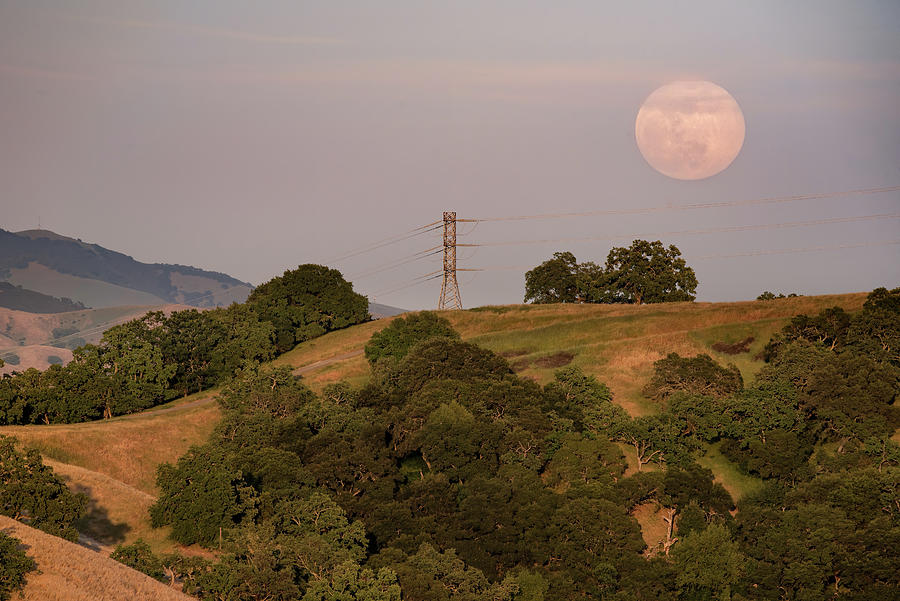 East Bay Moonrise Photograph by Laura Macky