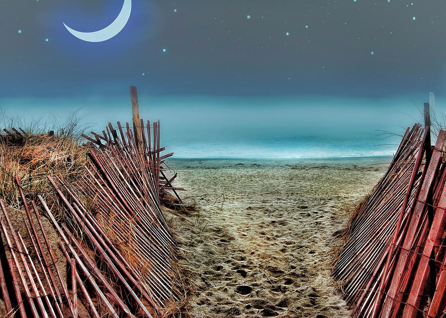 East Beach in the Fog at Night Digital Art by Cordia Murphy