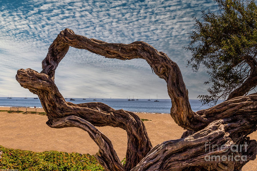 East Beach Santa Barbara Photograph by Mitch Shindelbower