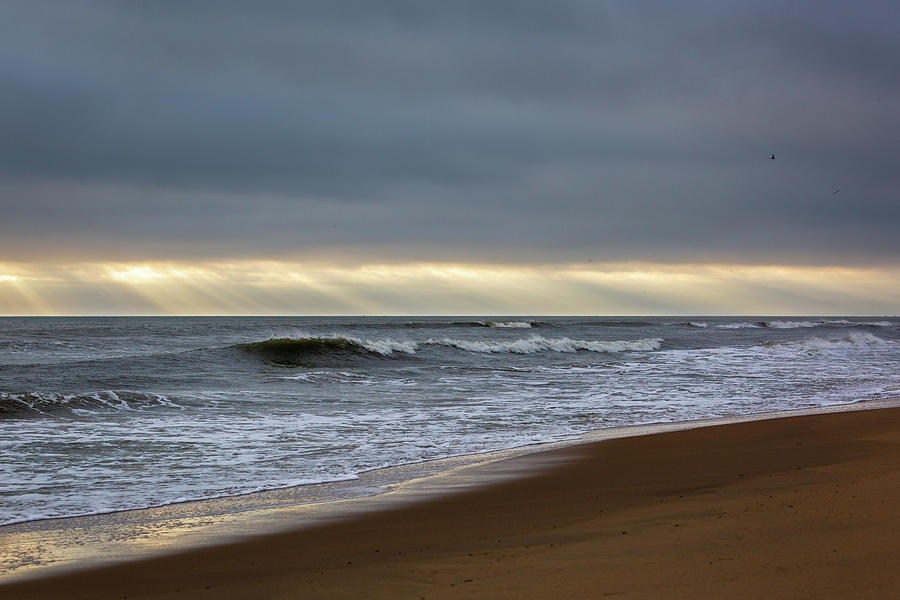 East Coast Beach Photograph by Lara Morrison