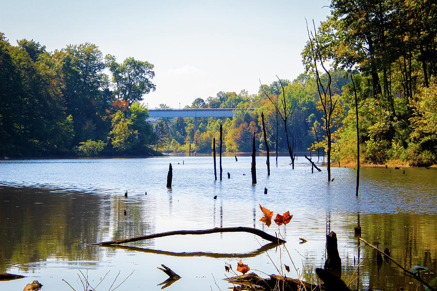 East Fork State Park Photograph by Daniel Williams