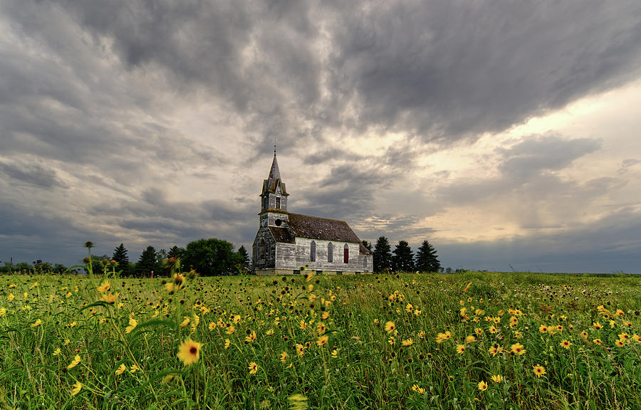 East Norway Lutheran Church in Nelson County ND - abandoned church with wildflowers Photograph by Peter Herman