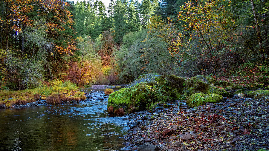 East Oregon Fall SplendorII Photograph by Bill Posner