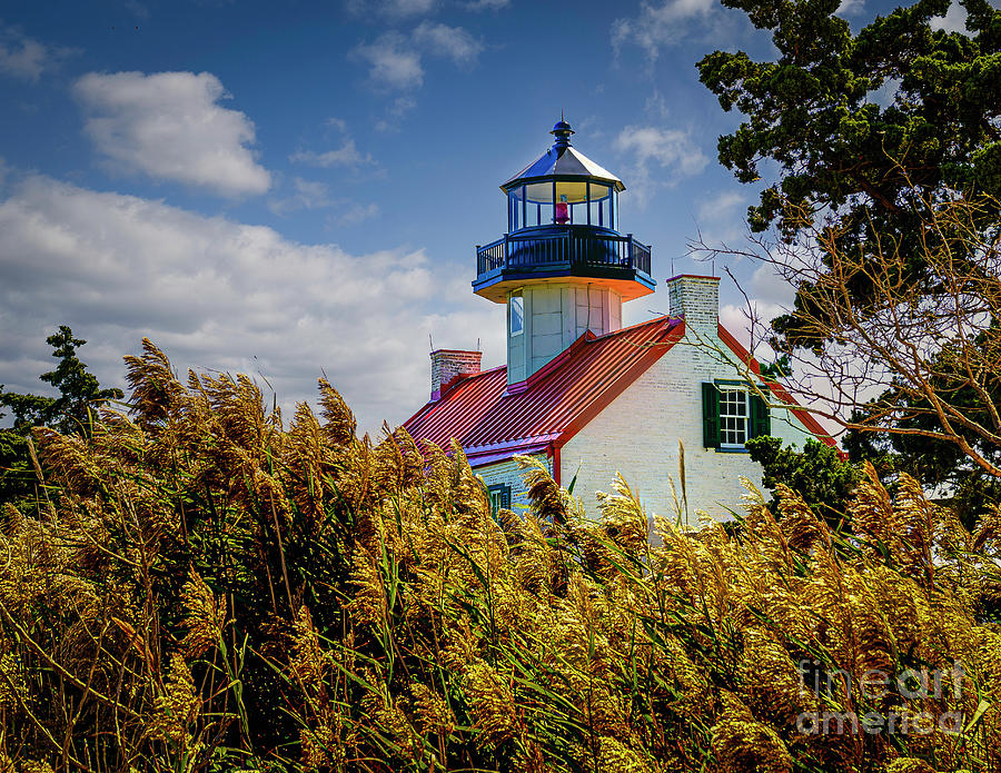 East Point Lighthouse NJ Photograph by Nick Zelinsky Jr